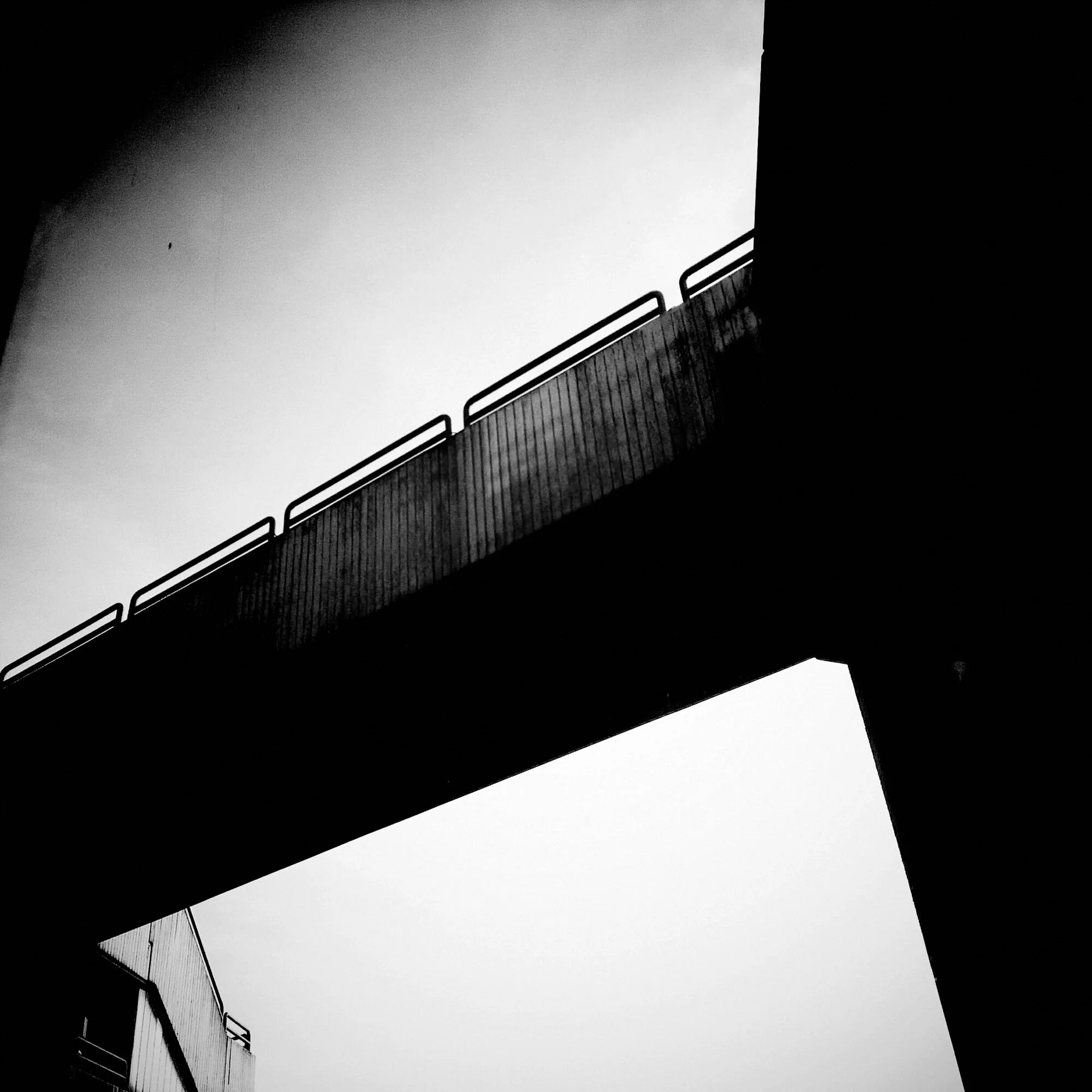 2015-10-26 16.14.50_sq_srgb_2000px.JPG