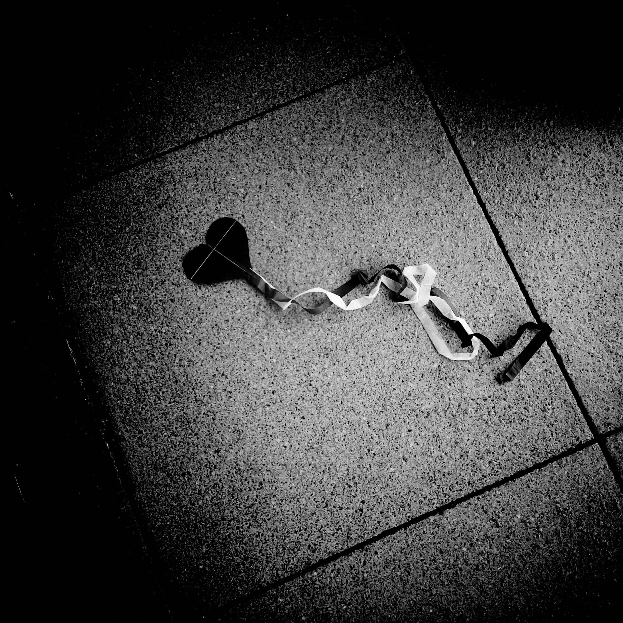 2015-08-20 16.52.49_sq_srgb_2000px.JPG