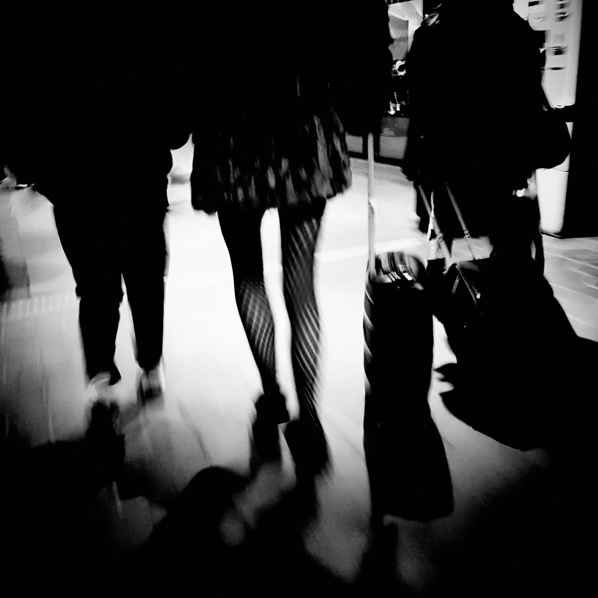 2016-12-30 16.45.25_sq_srgb_2000px.JPG