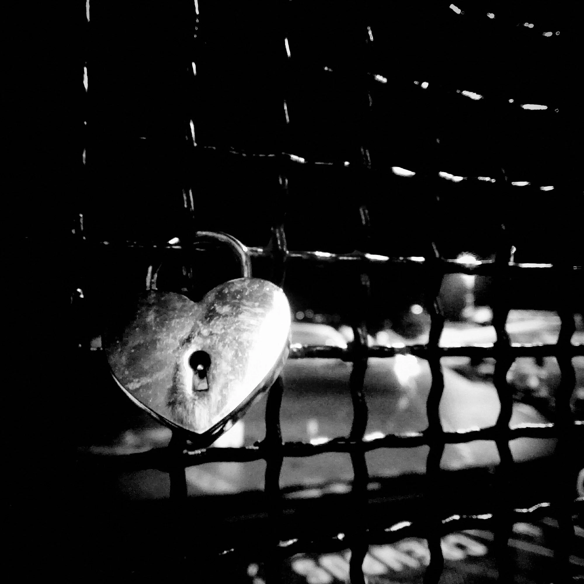 2014-12-27 21.17.22_sq_srgb_2000px.JPG