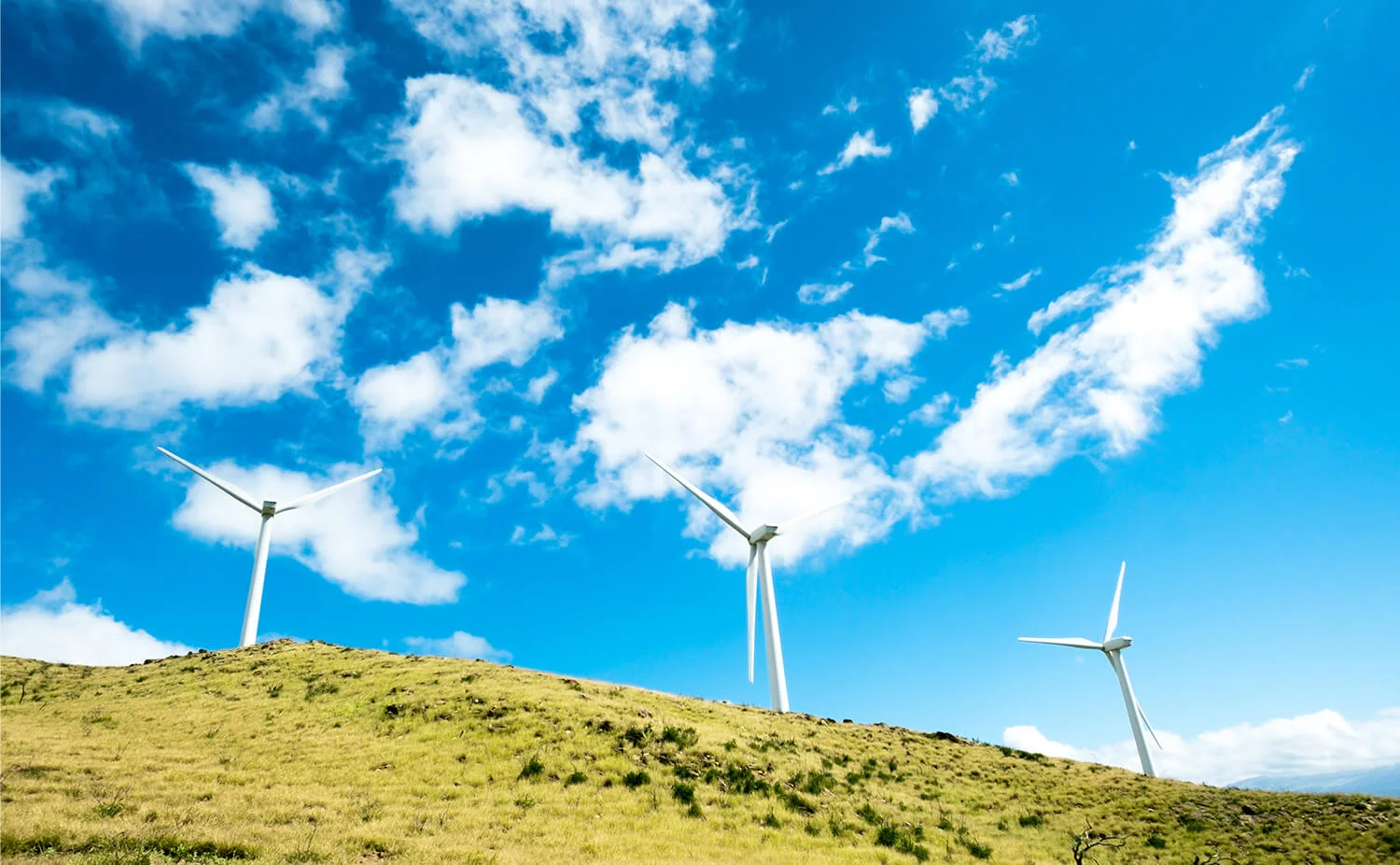 UK Government to Commit to 2050 Net Zero Greenhouse Gas Emissions