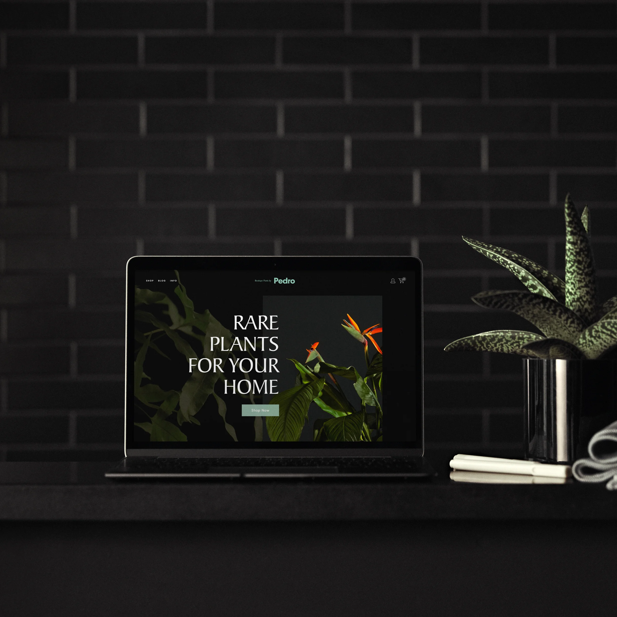 plant-device.jpg