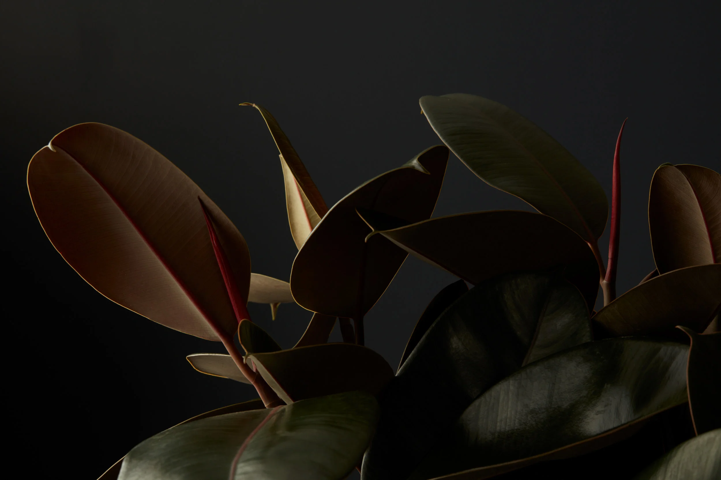 Texture_15_066.jpg