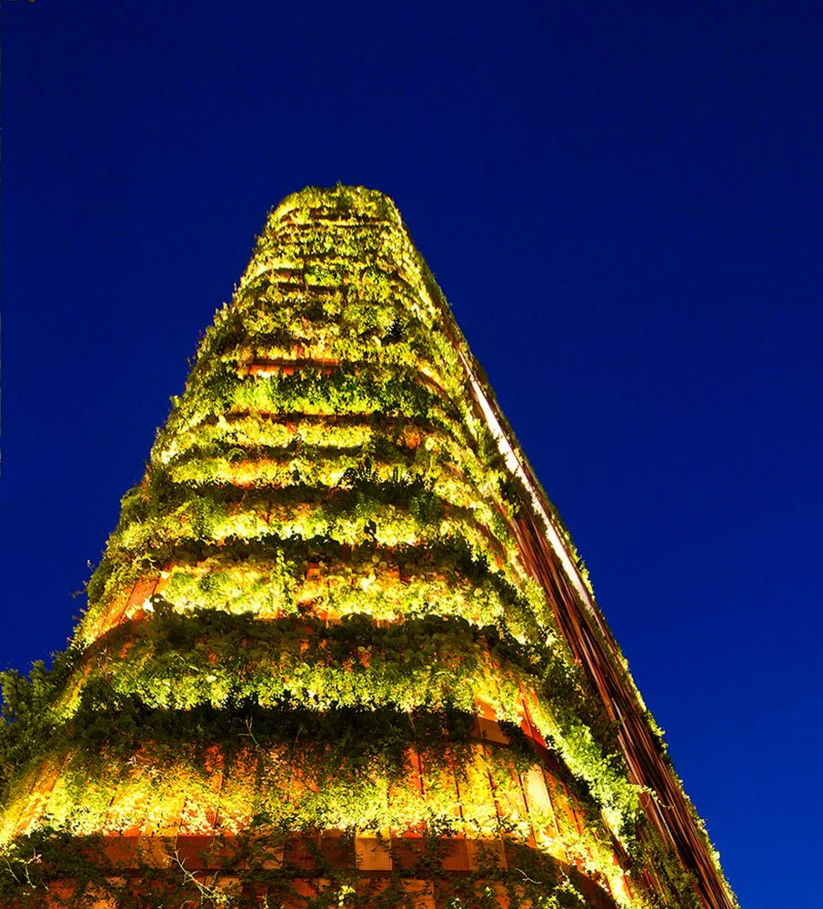 Plant-Covered Architecture - The Daily Beast  Stephen Wallis