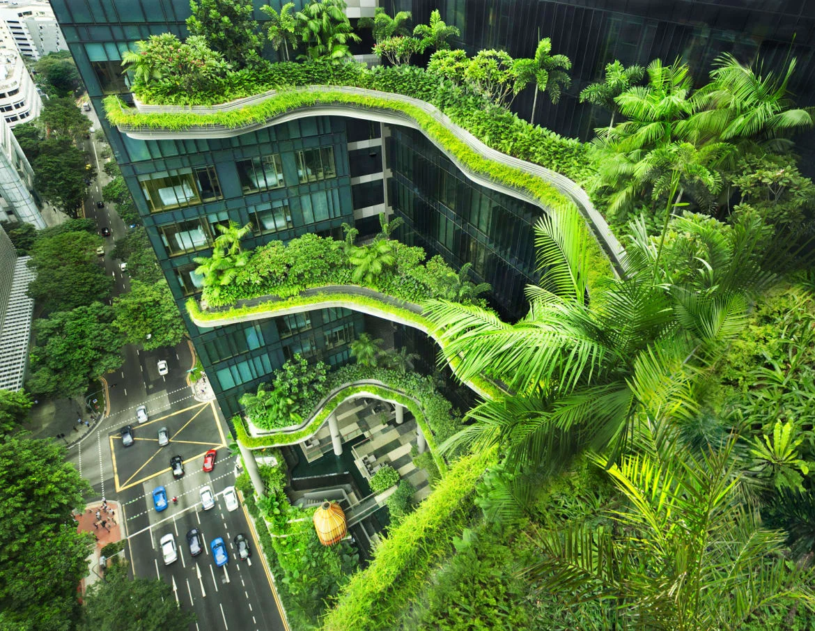 Plant-Covered Architecture - The Daily Beast  Stephen Wallis