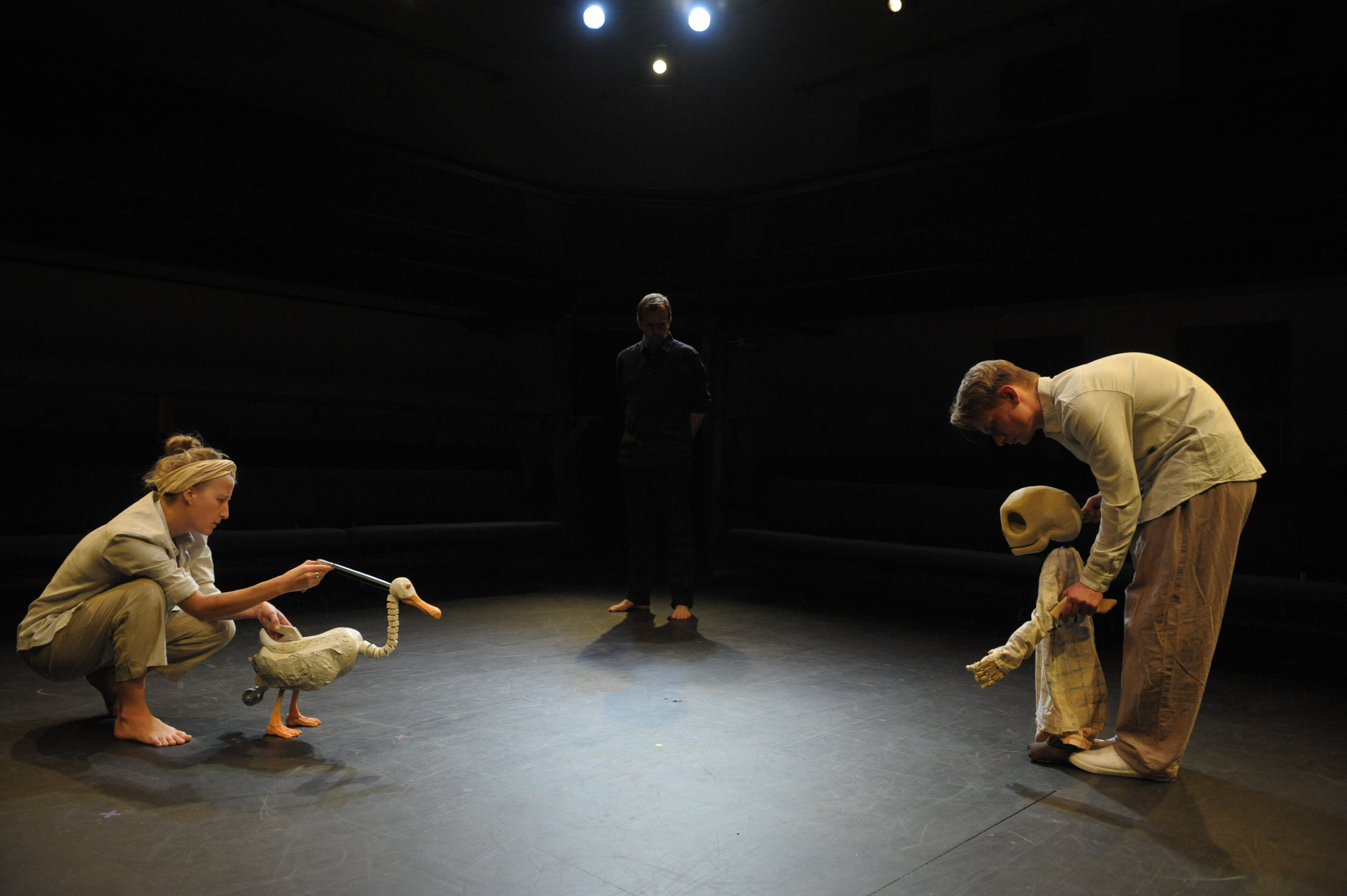 Duck, Death & The Tulip 2014