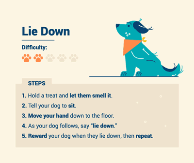 dog-training-3-lie-down.gif