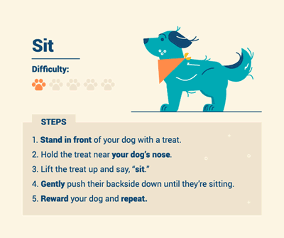 dog-training-2-sit.gif