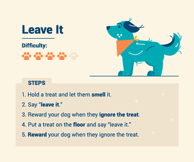 dog-training-6-leave-it.gif