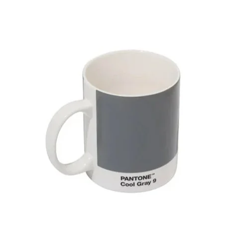 Pantone_9_CoolGrey.jpg