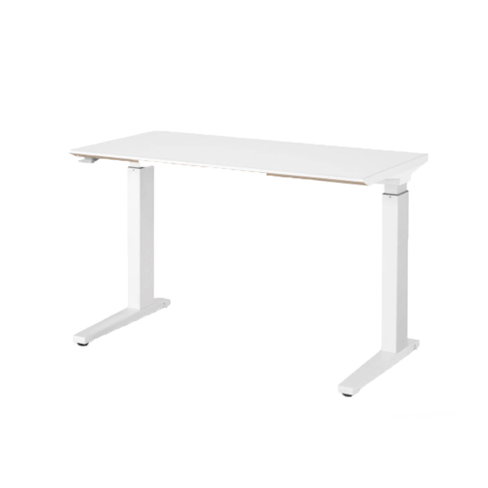 Renew Sit to Stand.jpg