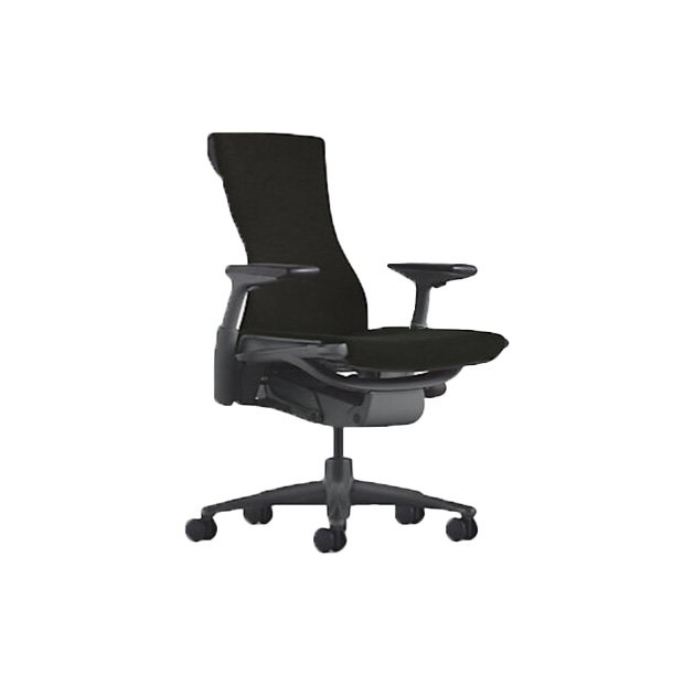 EmbodyChair.jpg