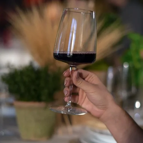 Bormioli_Planeo_Red_Wine_16oz_Scene1.jpg