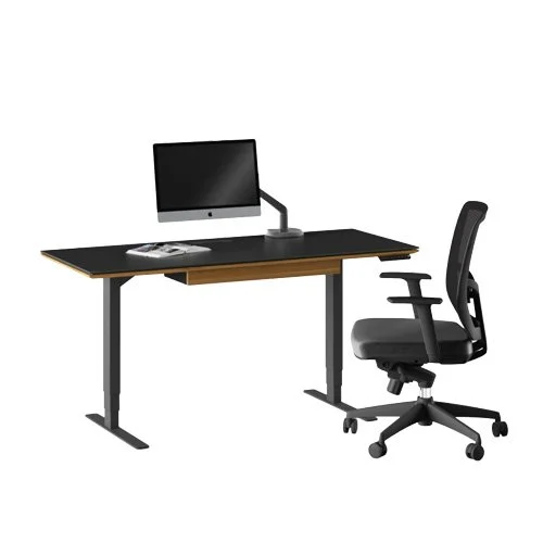 Modern height-adjustable standing desks with programmable lift and clean design.