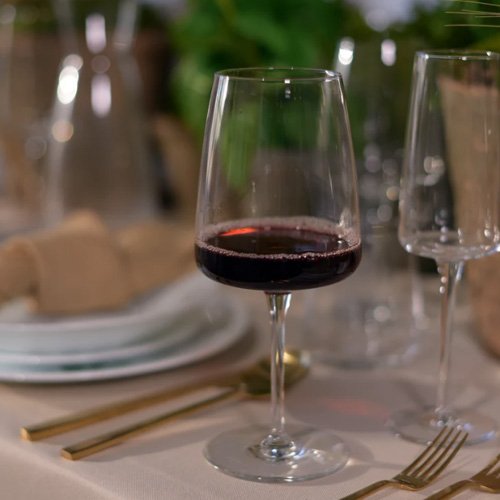 Bormioli_Planeo_Red_Wine_16oz_Scene2.jpg
