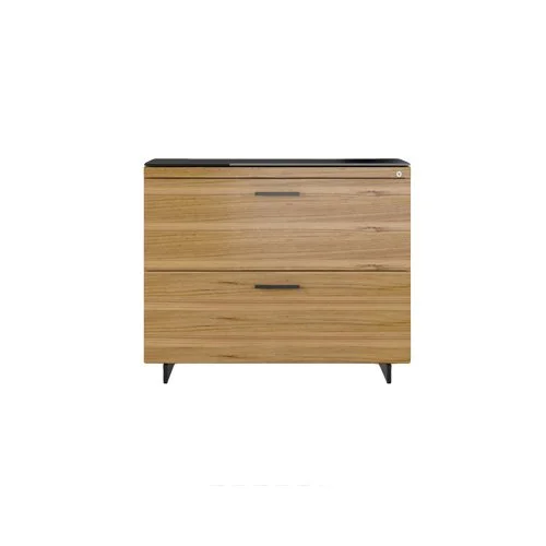 Modern office file storage with wood veneer and powder-coated base.