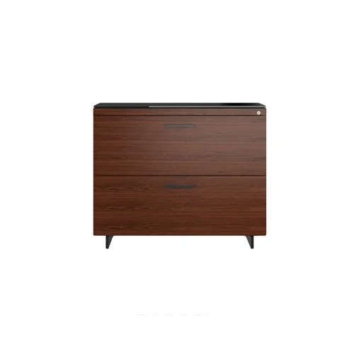 Two-drawer lateral file cabinet with contemporary styling and secure organization.