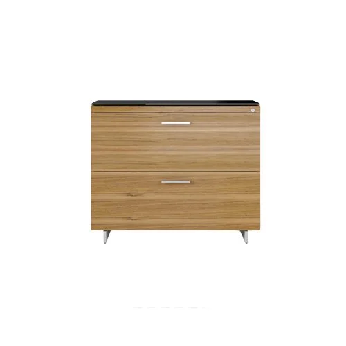 Two-drawer lateral file cabinet with contemporary styling and secure organization.