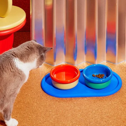 Food-safe porcelain feeding set for cats and dogs with modern design.