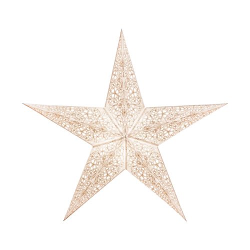 Starlightz_SwatiWhite.jpg