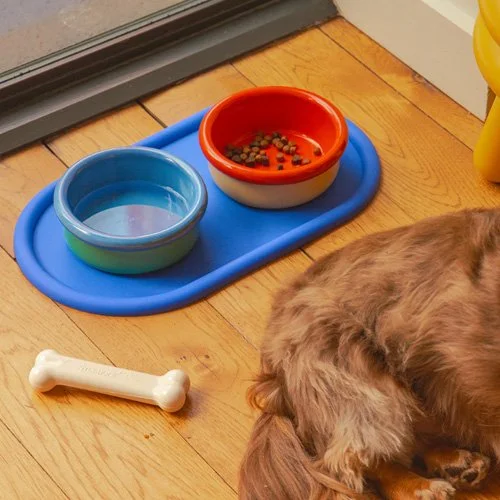 Food-safe porcelain feeding set for cats and dogs with modern design.