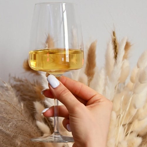 Bormioli_Planeo_White_Wine_12oz_Scene1.jpg