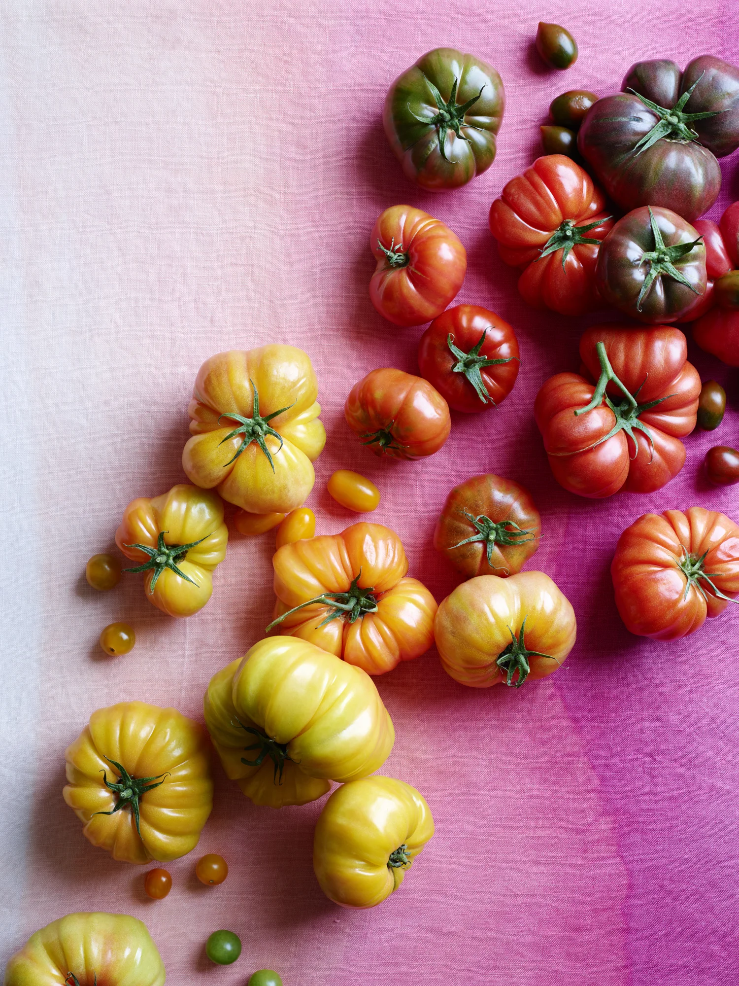 LB17_Heirloom_Tomatoes_Ombre_3902 1.jpg