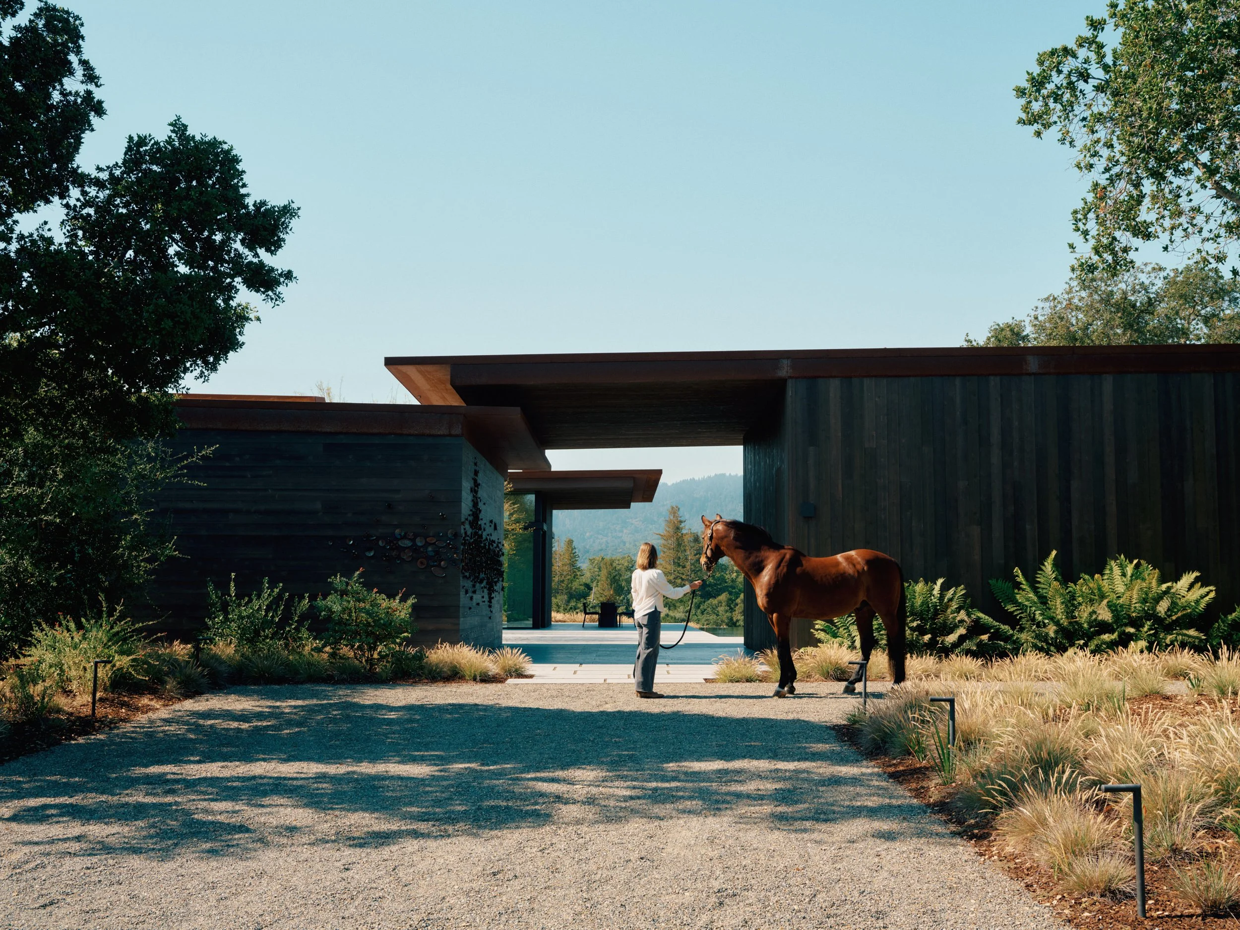 ButlerArmsden_PortolaValley_DSF2527.jpg