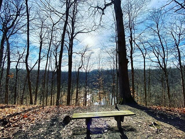 Great spot for a bench. A view. I liked.