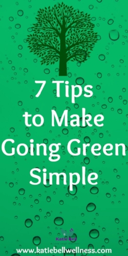 7 Tips to Make Going Green Simple