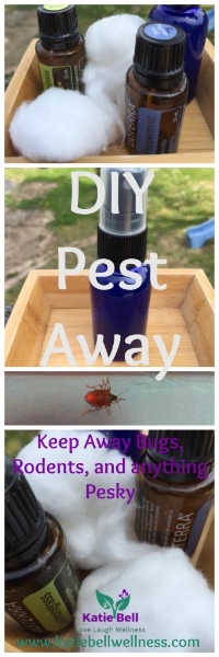 DIY Pest Away