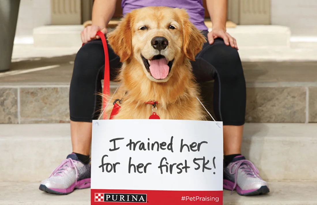 Purina_00.jpg