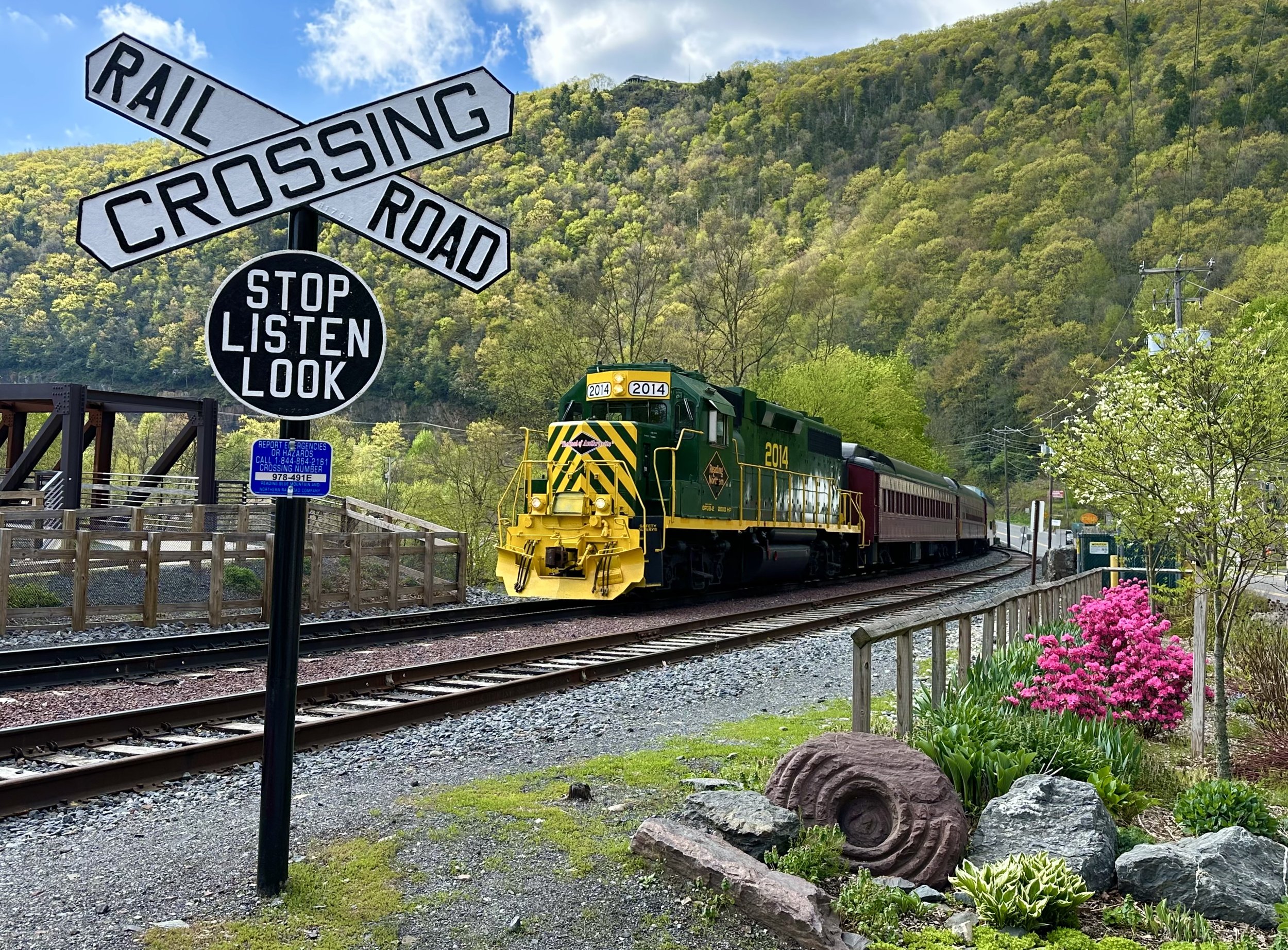 LGSR in Bloom - Knadler.jpg