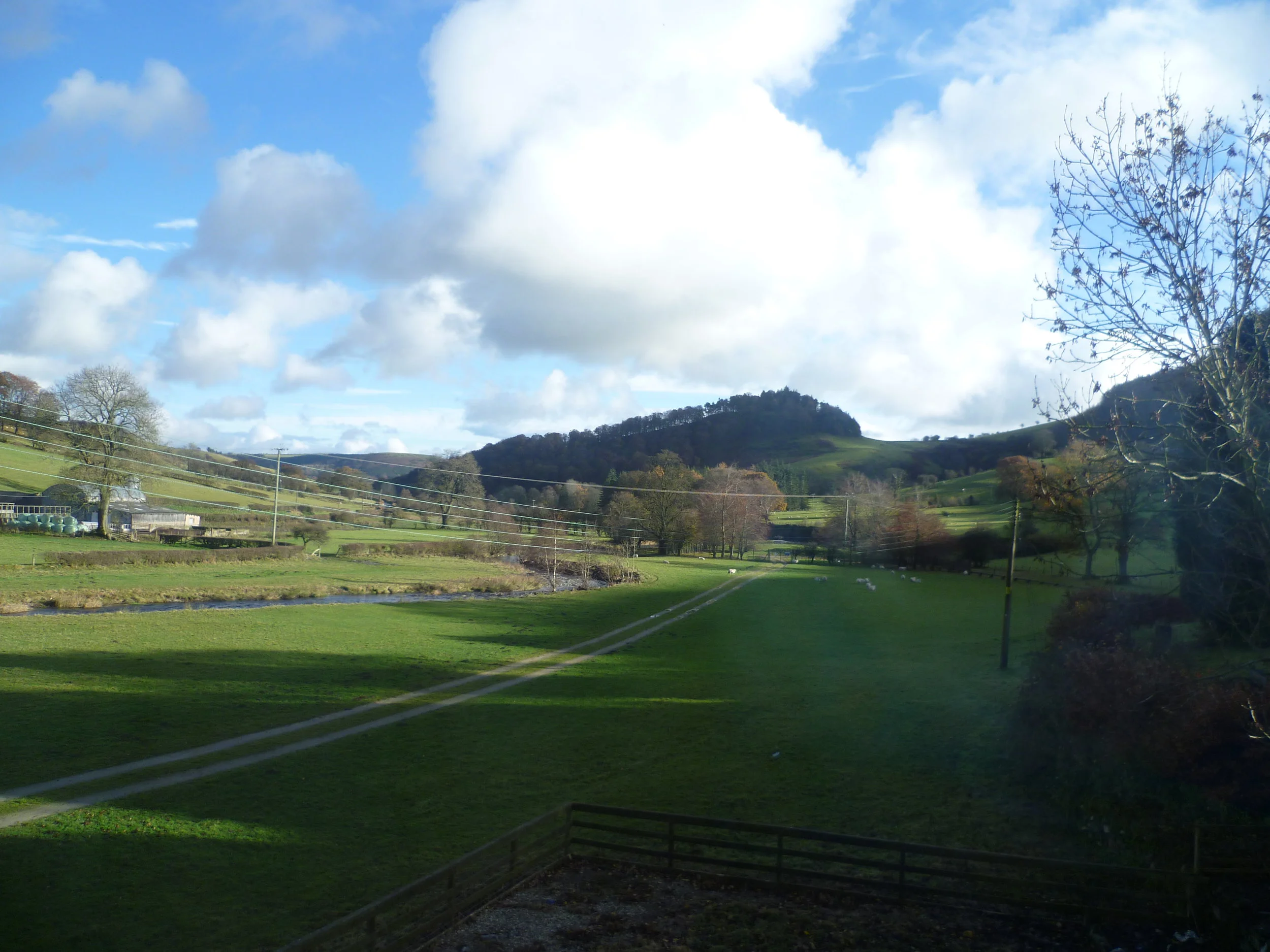 View from Garden