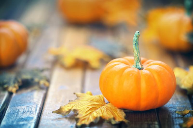 AdobeStock_92259263.jpeg