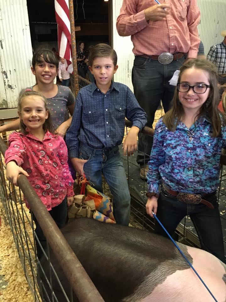 El Paso County Fair Expanding to Include Art