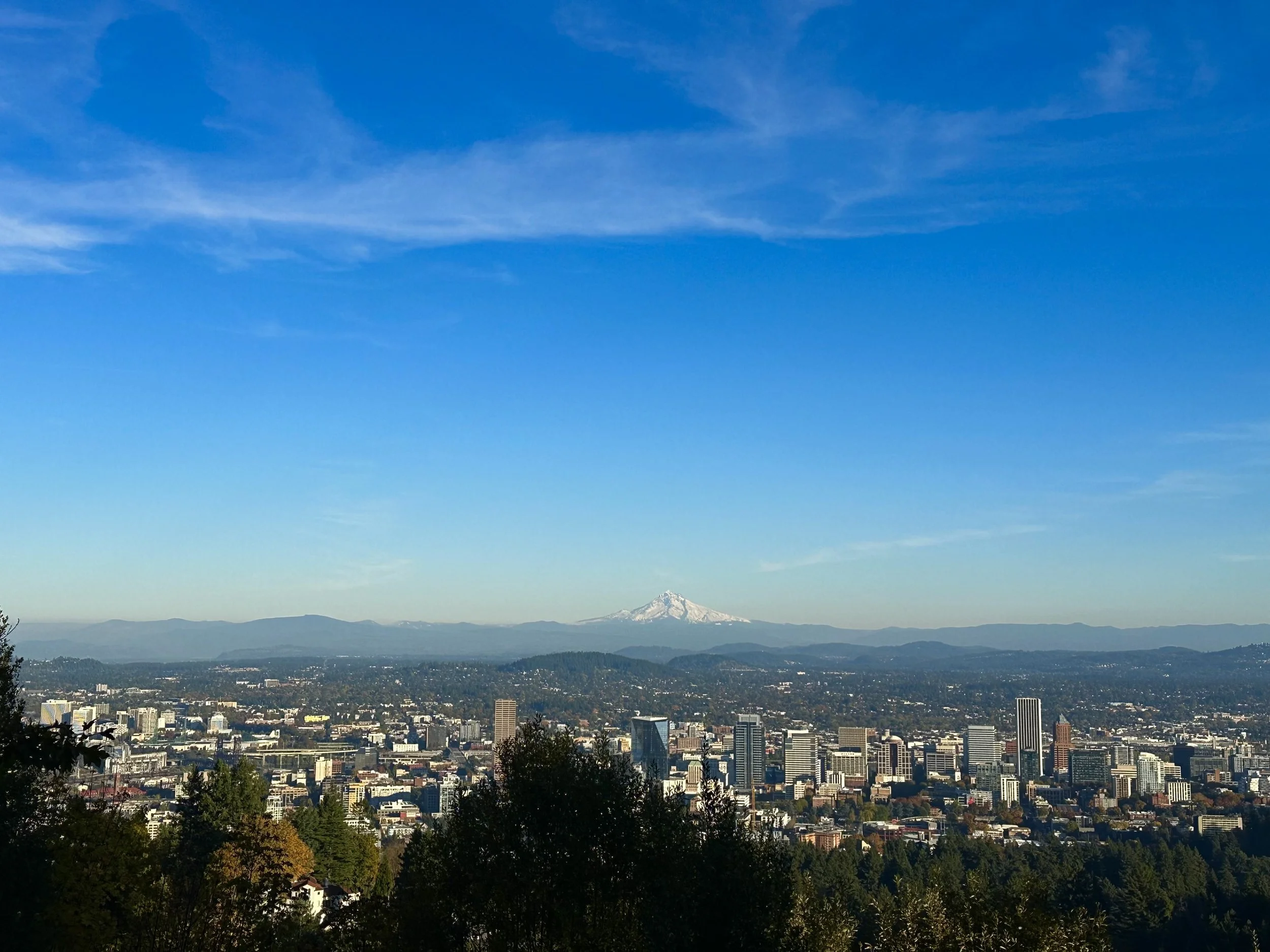 PDX Skyline.jpg