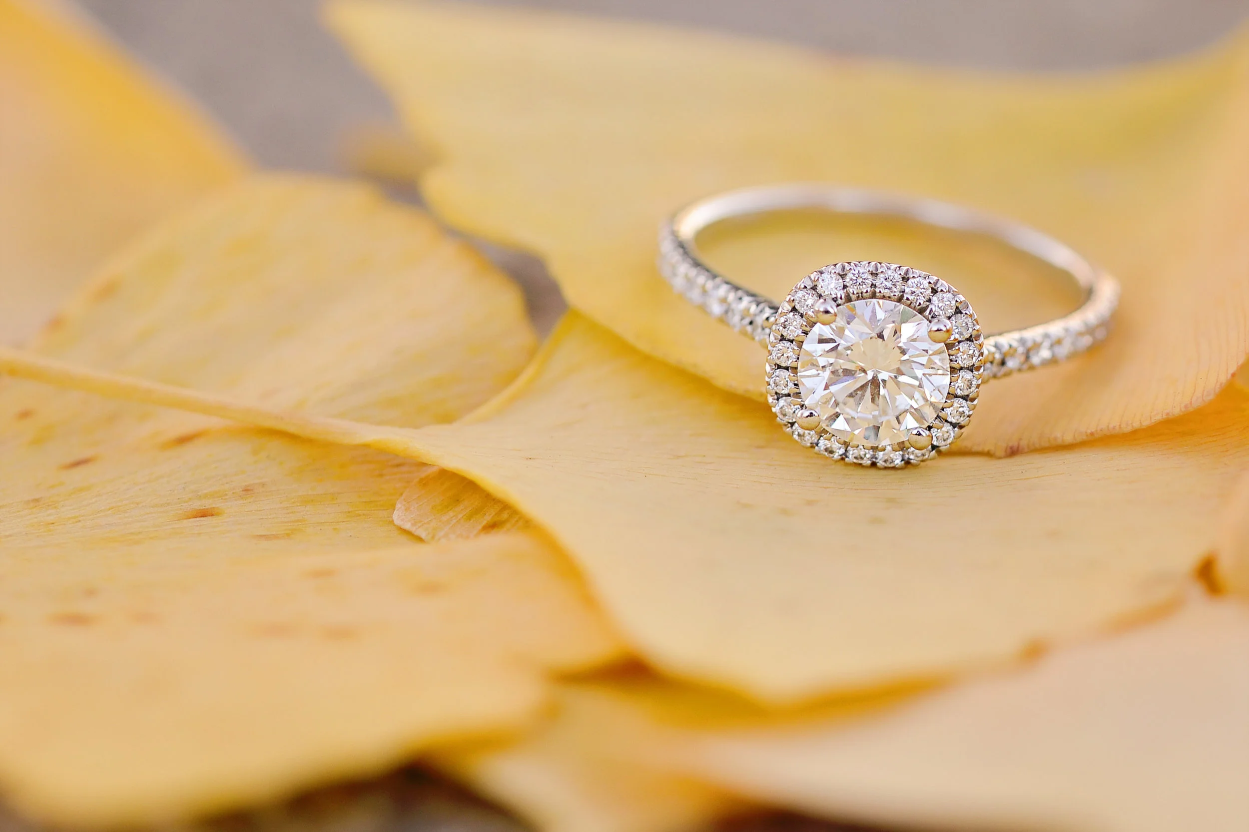 diamond engagement ring on yellow leaves in houston texas photo.jpeg