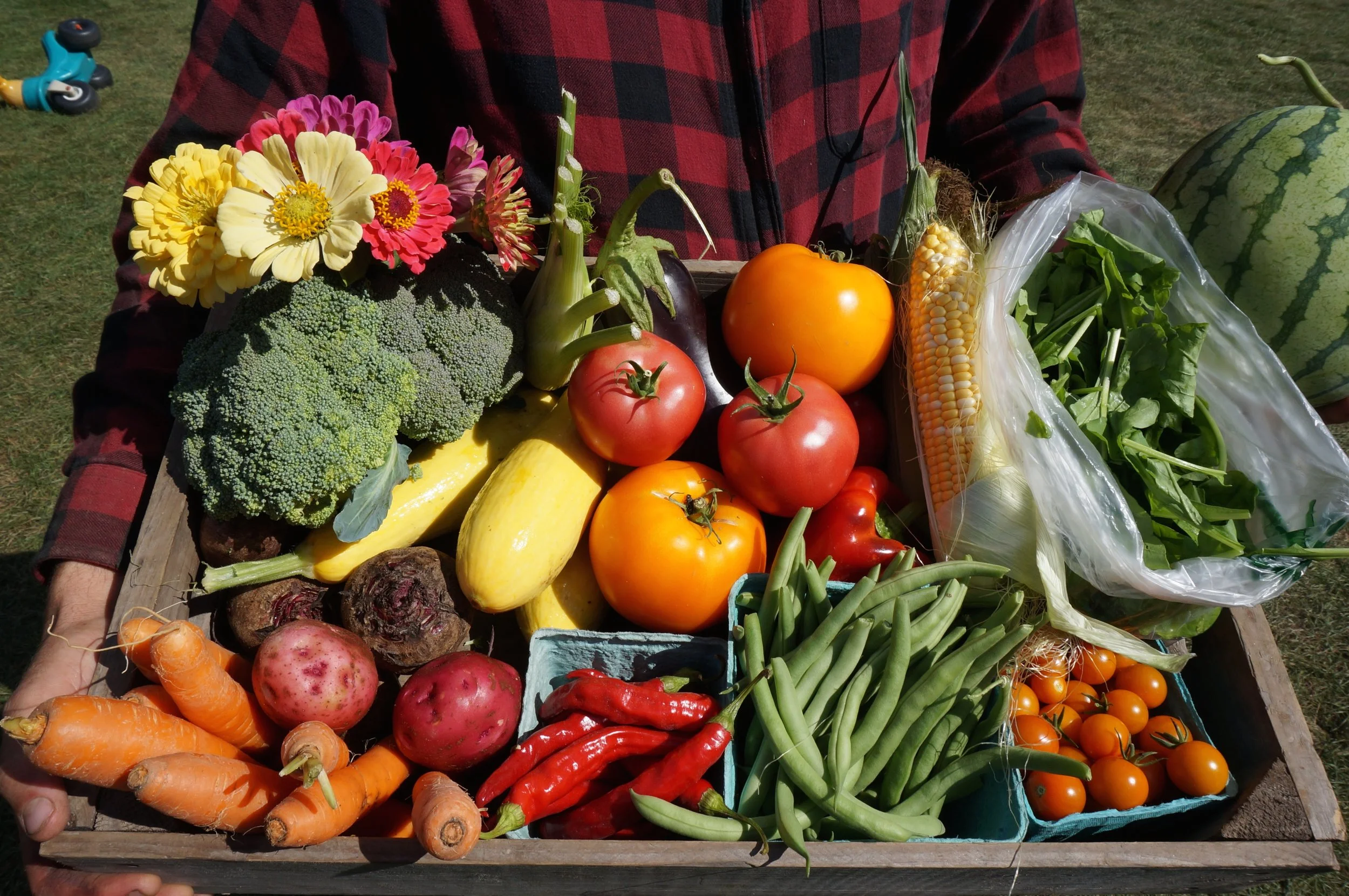 Intervale Community Farm