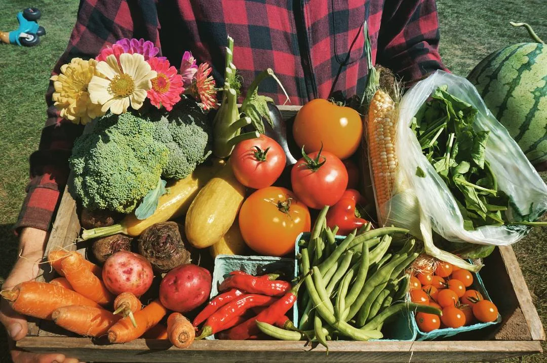 2016 late summer bounty.jpg