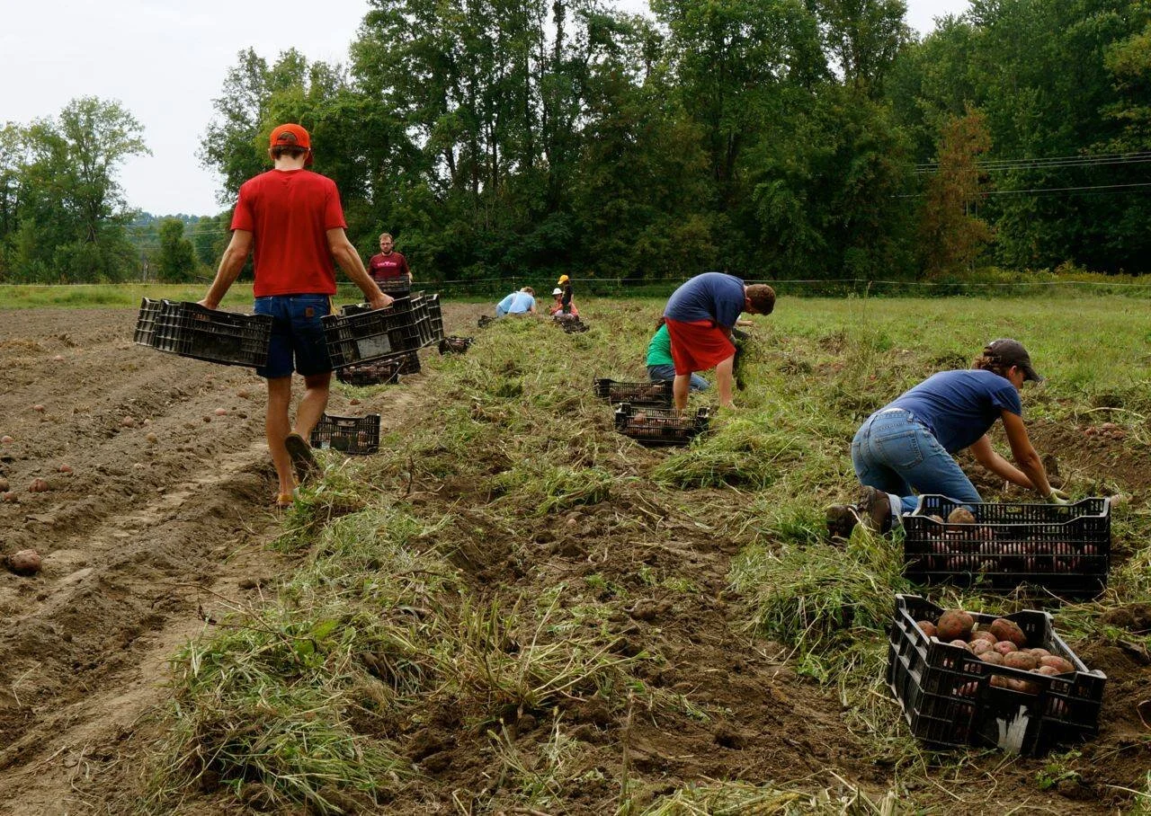 2015 crop mob.jpg