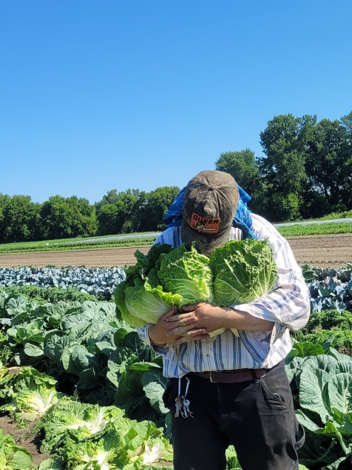 Ask us about how much we 💞💖💕cabbage anyyyy time of the year (most underrated vegetable according to ICF staff)