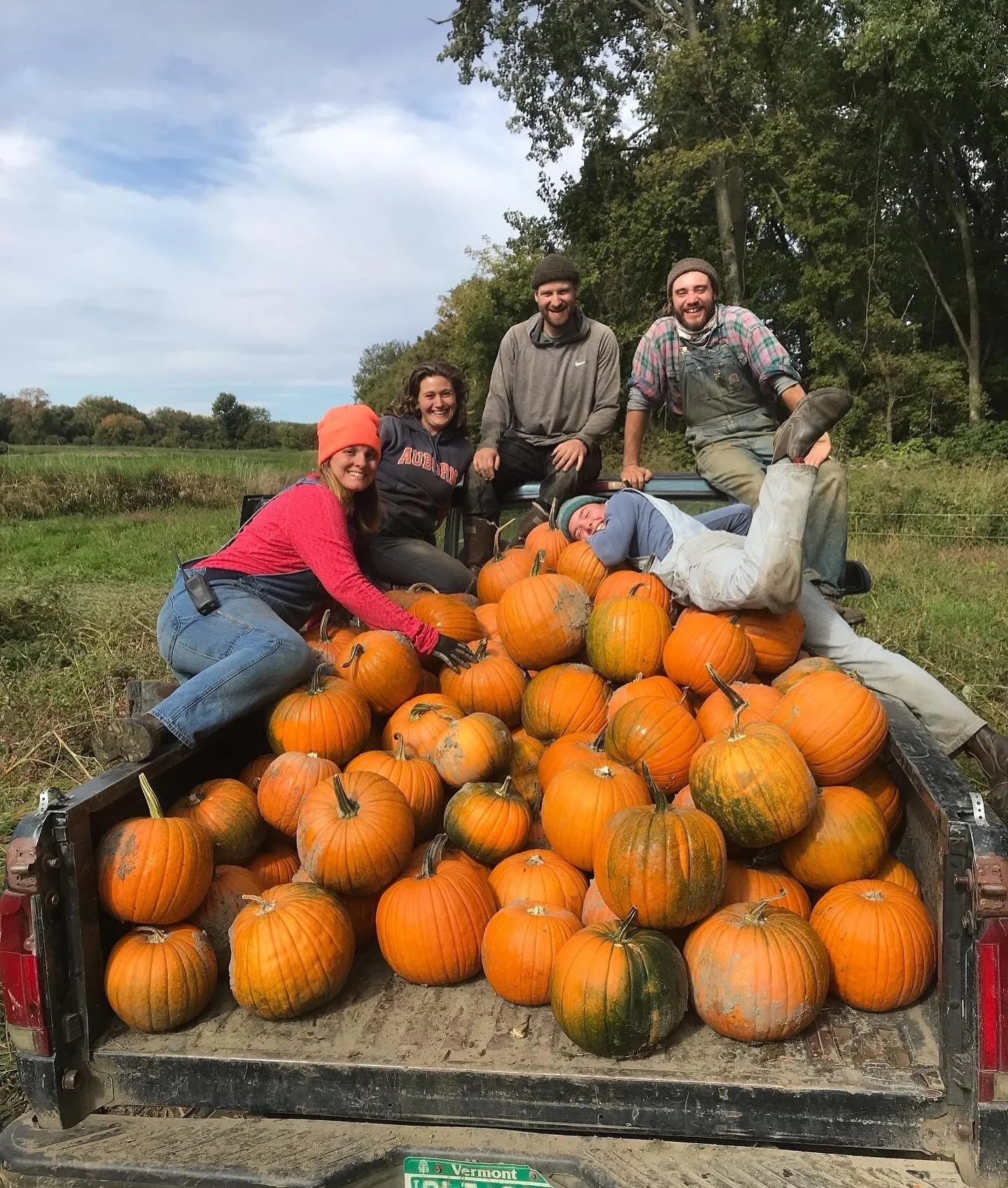 Pumpkin Day 
This Saturday 10-2 

CSA members, bring the family and come hop a wagon ride out to the field and pick your pumpkin. We&rsquo;ve dearly missed this holiday the past couple years, and are so happy to resume the tradition. Don&rsquo;t worr