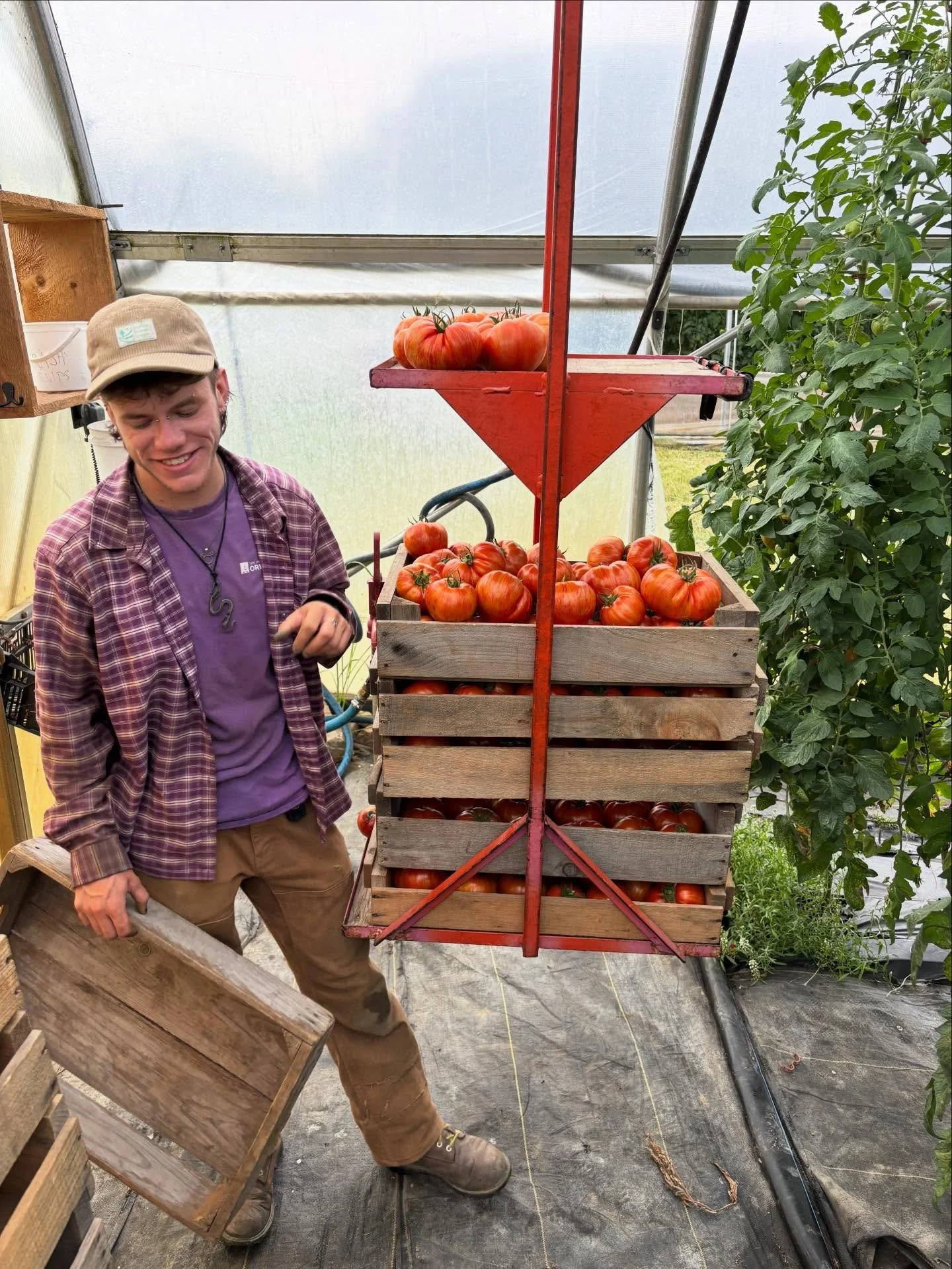 It's only January but we&rsquo;re already chugging along with spring prep (when temps allow)! Colin and Georgia kicked off the install of our trolley harvest system in the new tunnels yesterday. They&rsquo;ll be toting summer veggies before we know i