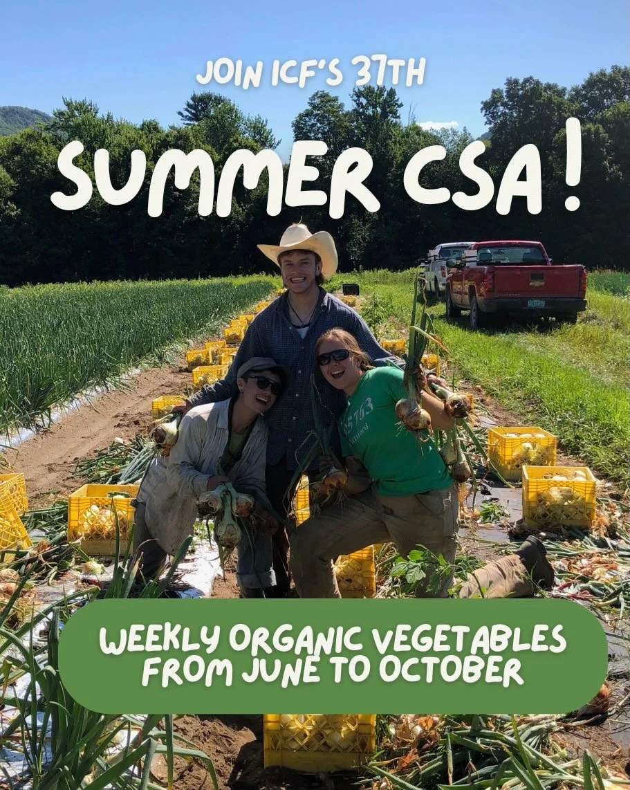 We&rsquo;ve said it before and we&rsquo;ll say it again&hellip; but it&rsquo;s time to snag your summer share!!! Sign up for vegetables every week, seeing your friends under the pickup barn, bringing home fresh bouquets and being part of this amazing