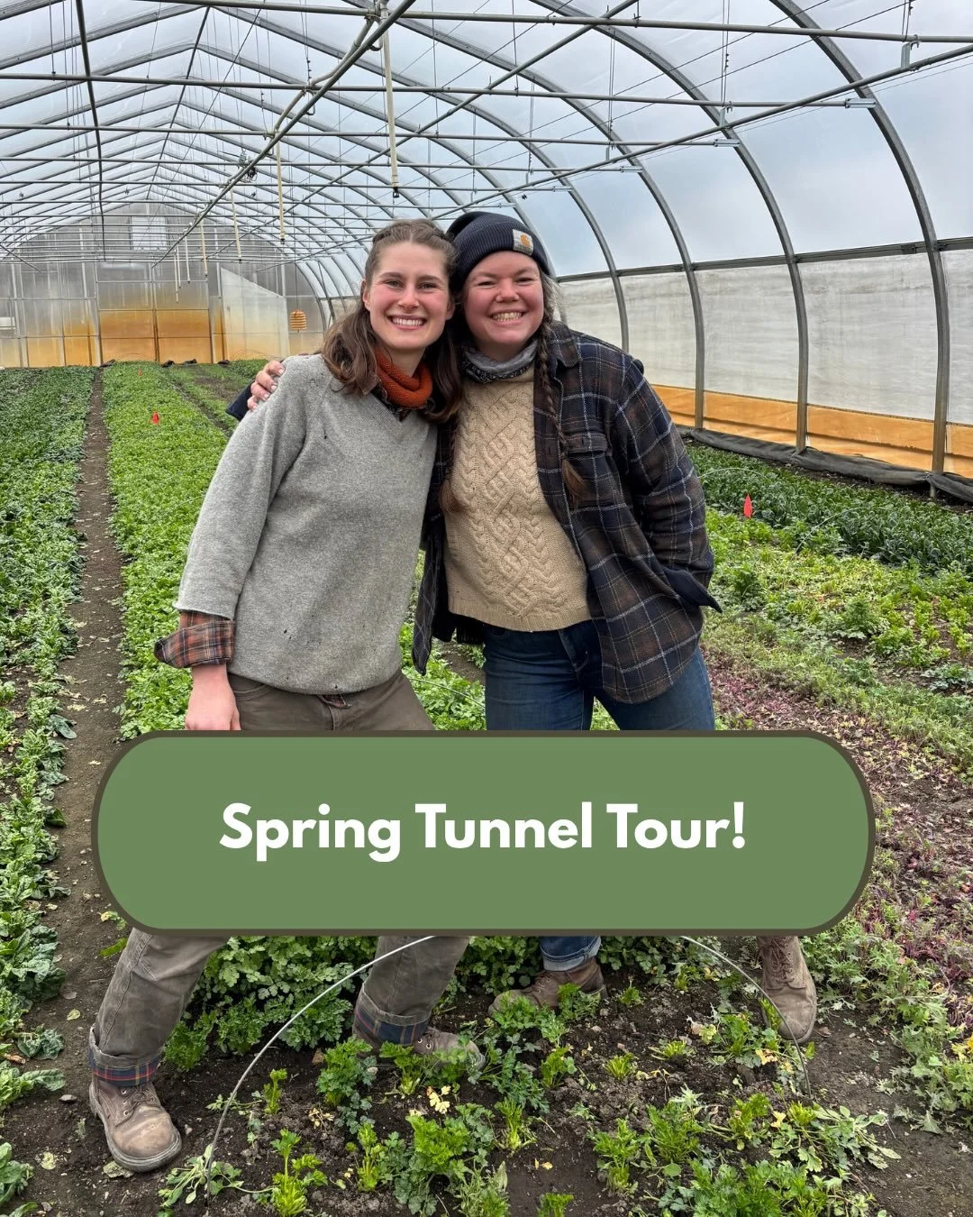 Ever wonder how your winter CSA greens get to your plate? Aly and Georgia will walk you through our winter production practices and show you how around our spring tunnels. Join us during CSA pickup on April 9 and 16 at 4:30 at 282 Intervale Road.