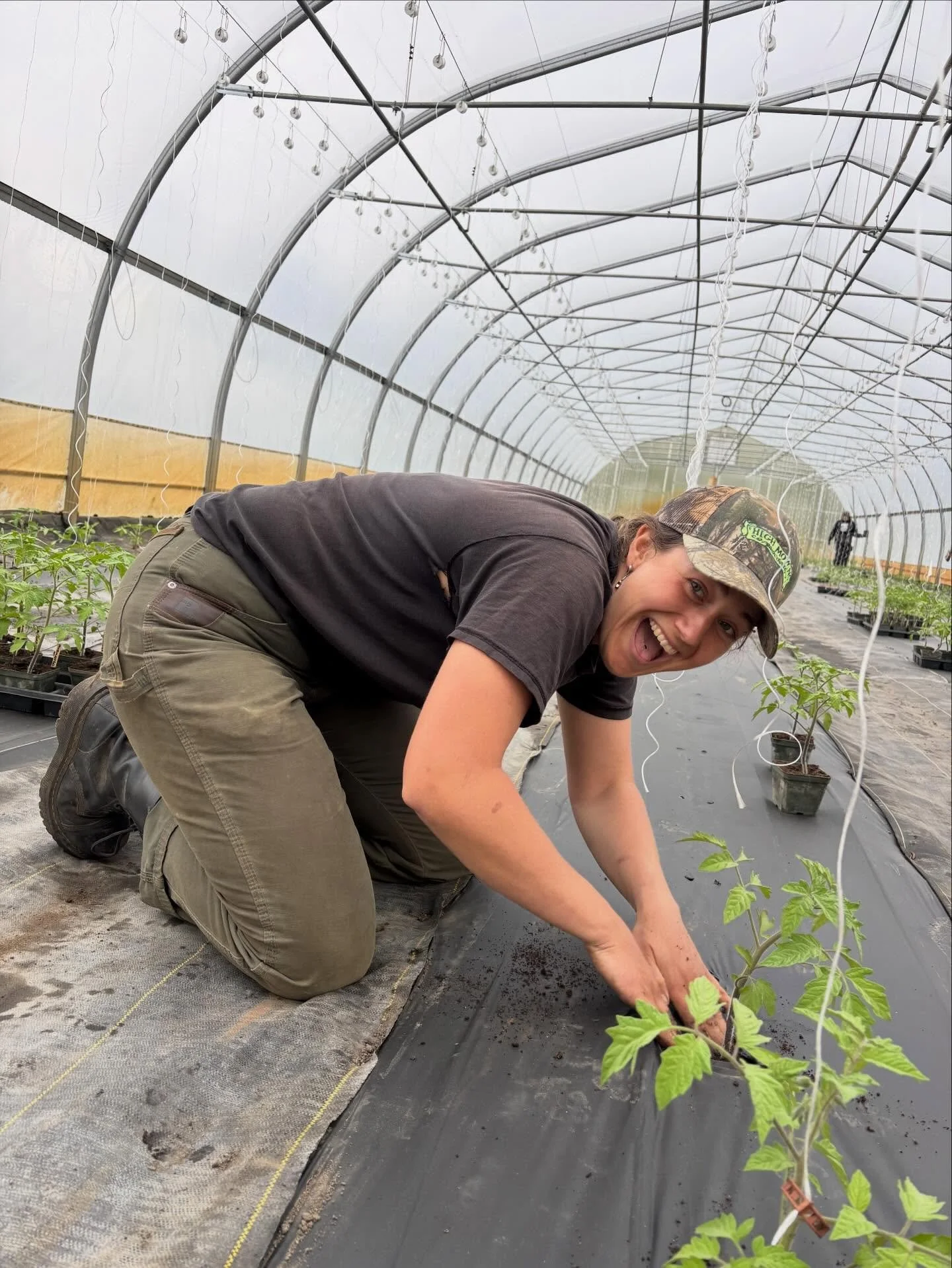 Record quick tomato planting day due to our all-time crew 👑 (Rue really put in the work)