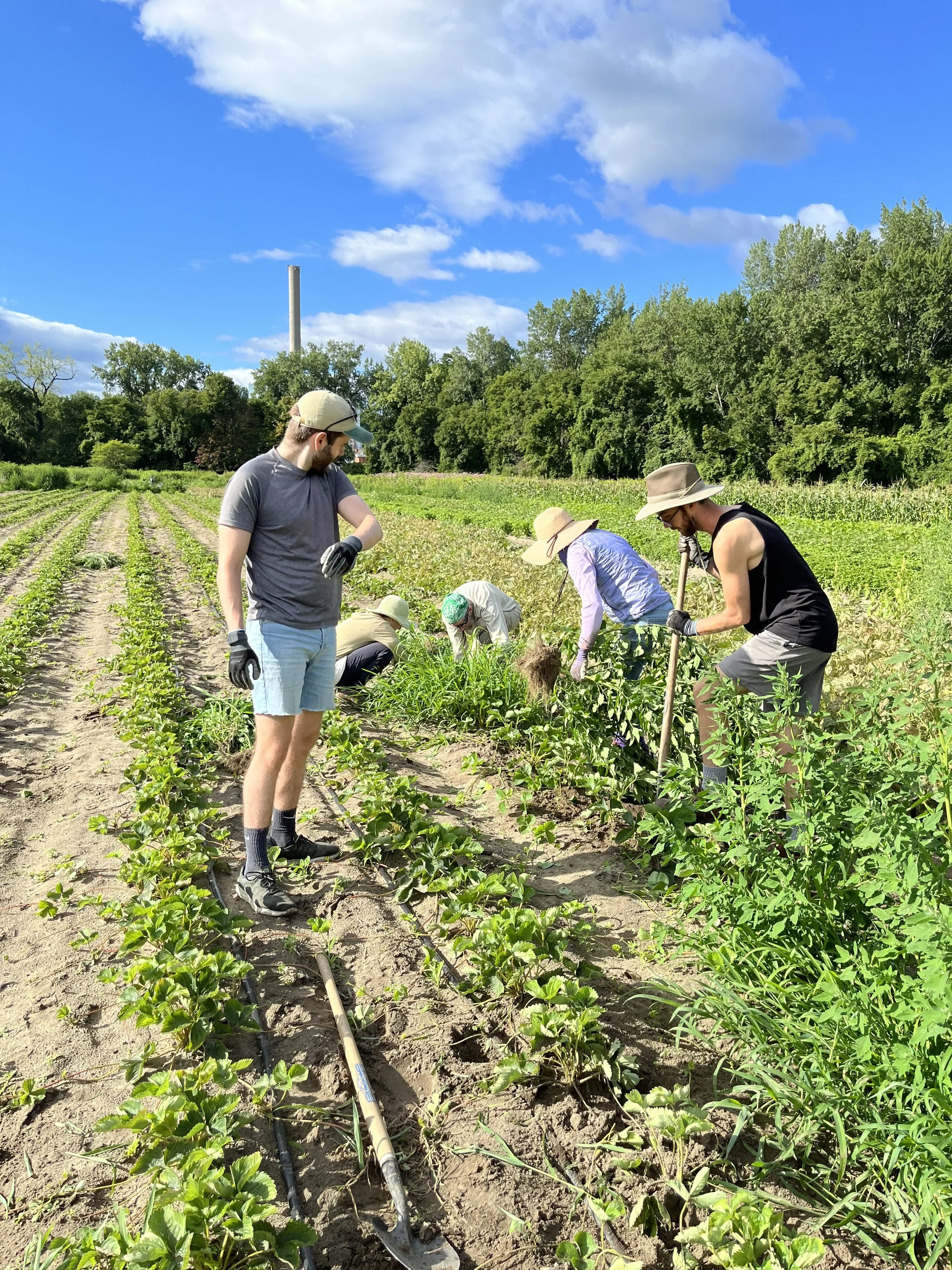 Volunteer Opportunities at ICF