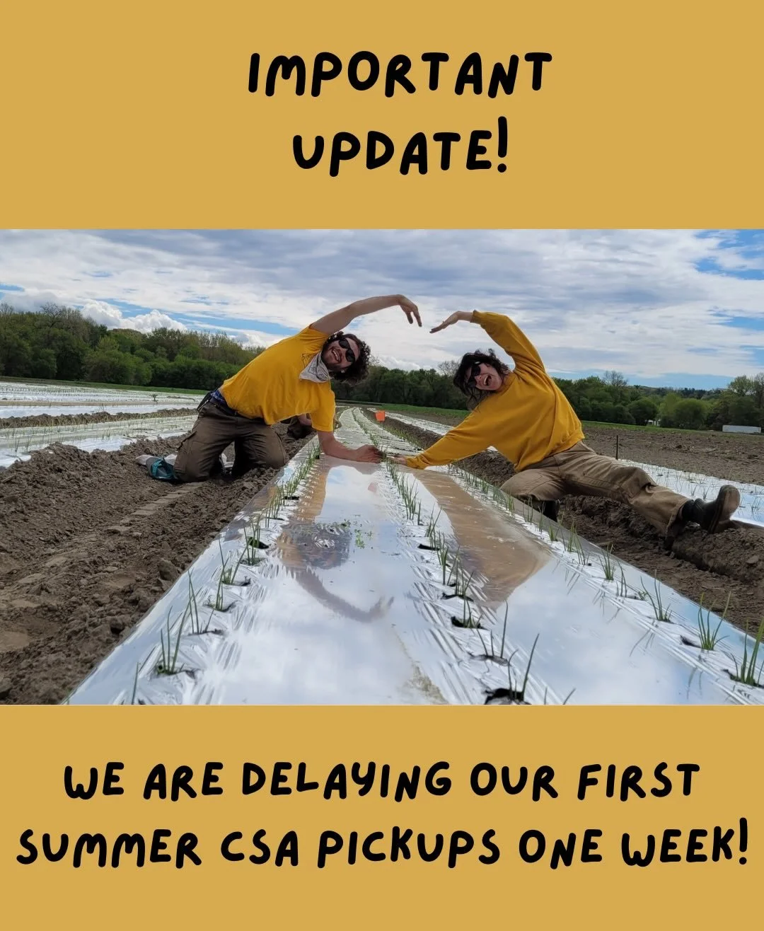 We are busy busy busy getting ready for summer CSA (it&rsquo;s going to be great) but the weather is slowing our plan down! We are moving our first week of summer pickups from the first week of June (5/1 and 5/4) to the second (5/8 and 5/11). We will