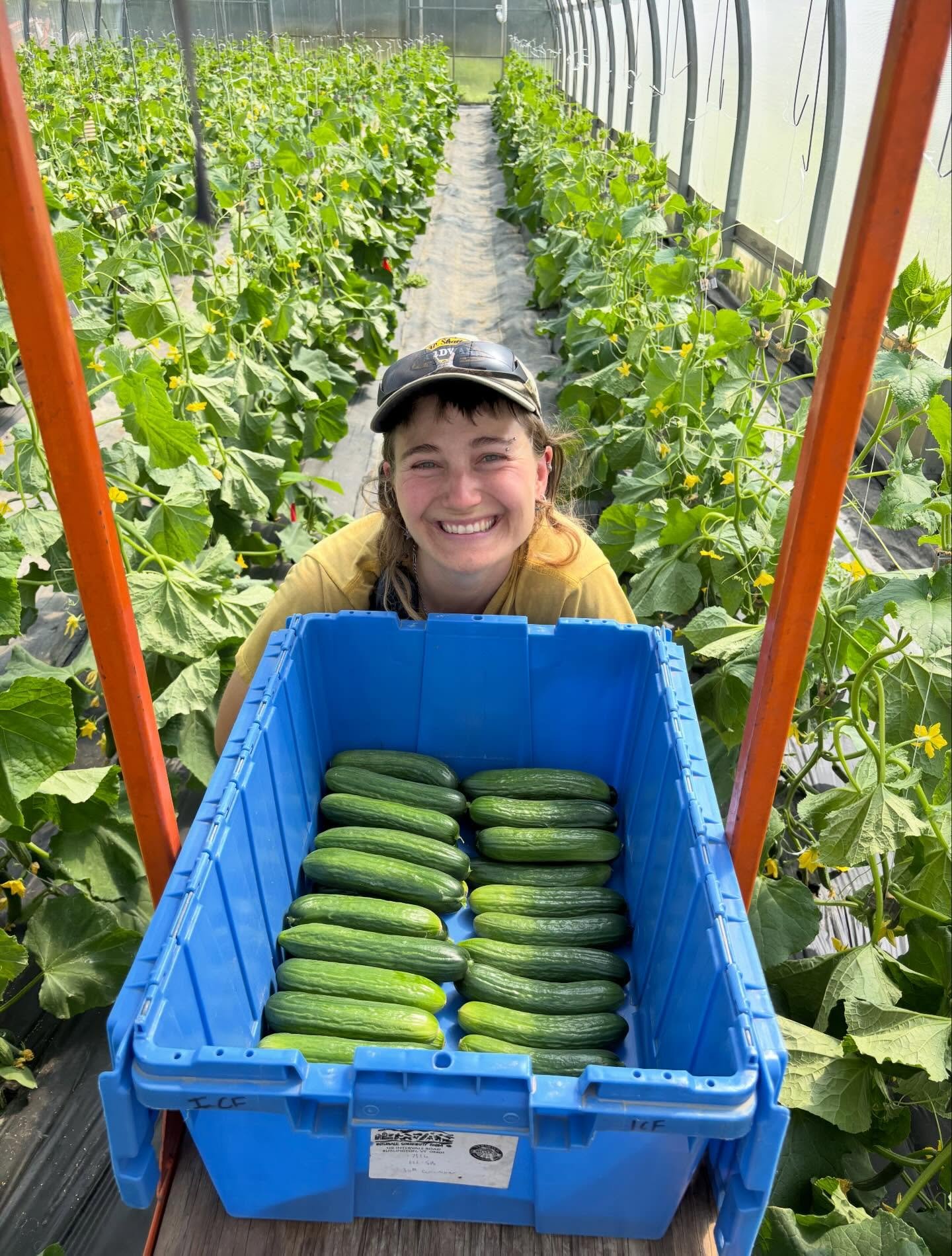 A really good first week of pickups and other activities at the farm 🍓💚